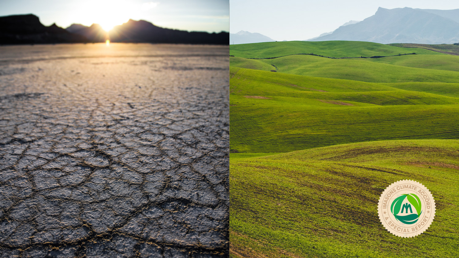 The Impact of Climate Change | InterGlobix Magazine