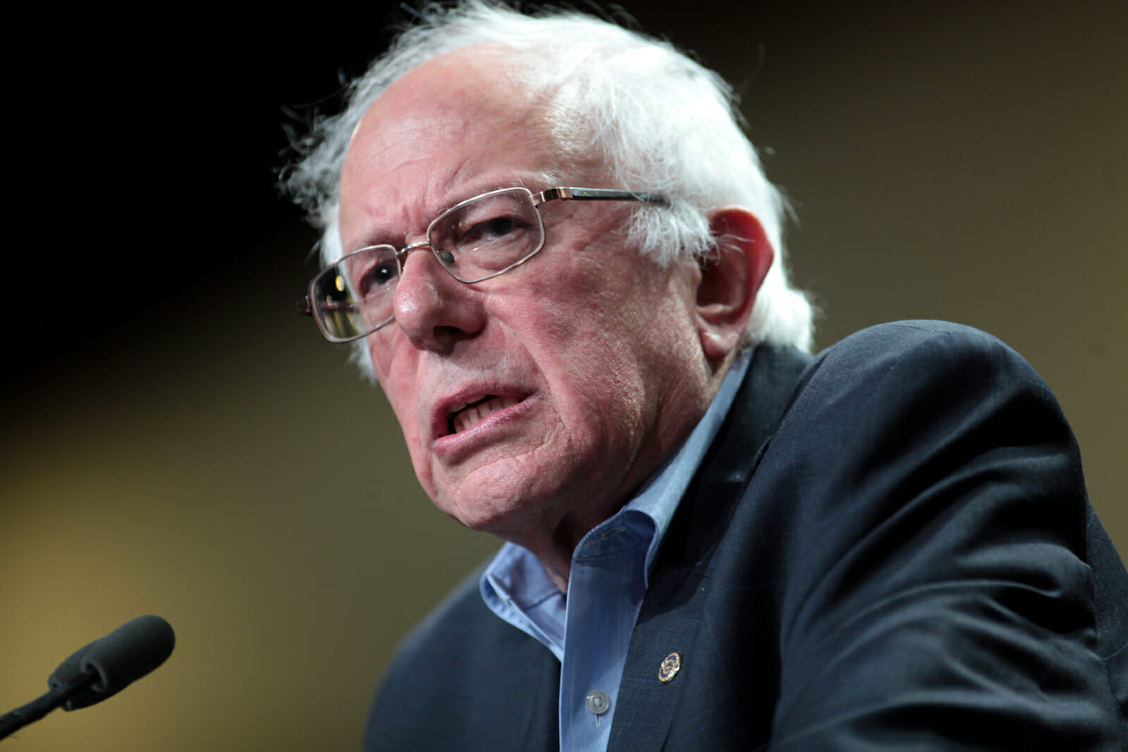 Dispelling the Bernie Bro Myth