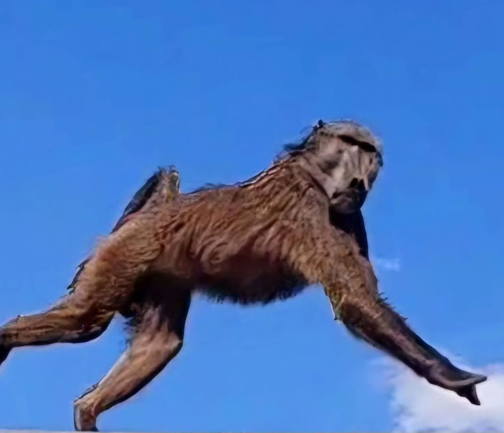 Outrage over baboon killing by schoolchildren: Justice for Raygun