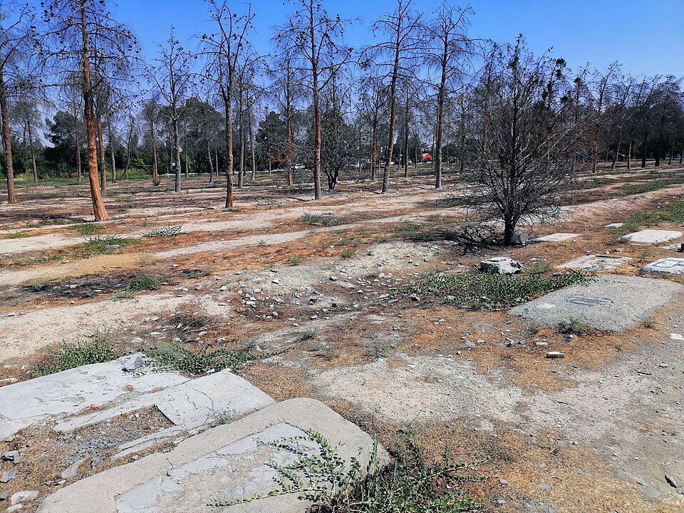 Iran Destroying Graves of Political Prisoners in Behesht Zahra Cemetery - Iran 1988 Massacre