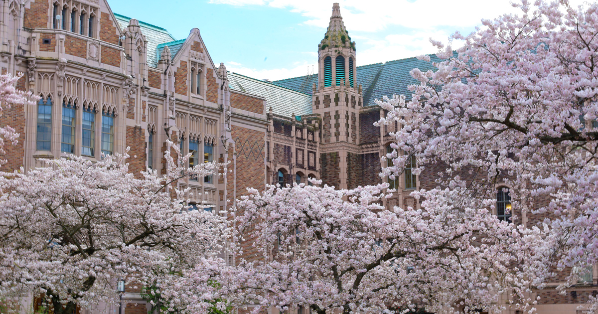 AI for Organizations certificate to launch in autumn | Information School | University of Washington