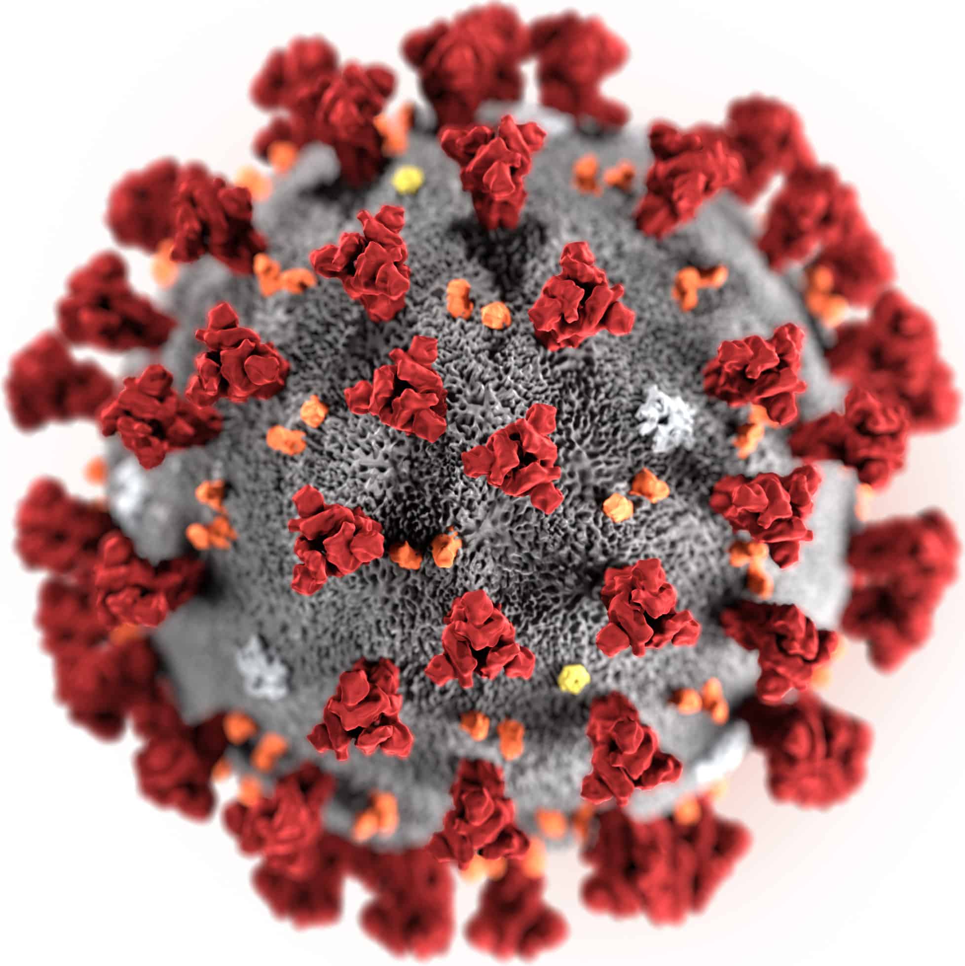 Clarity, Please, on the Coronavirus Statistics
