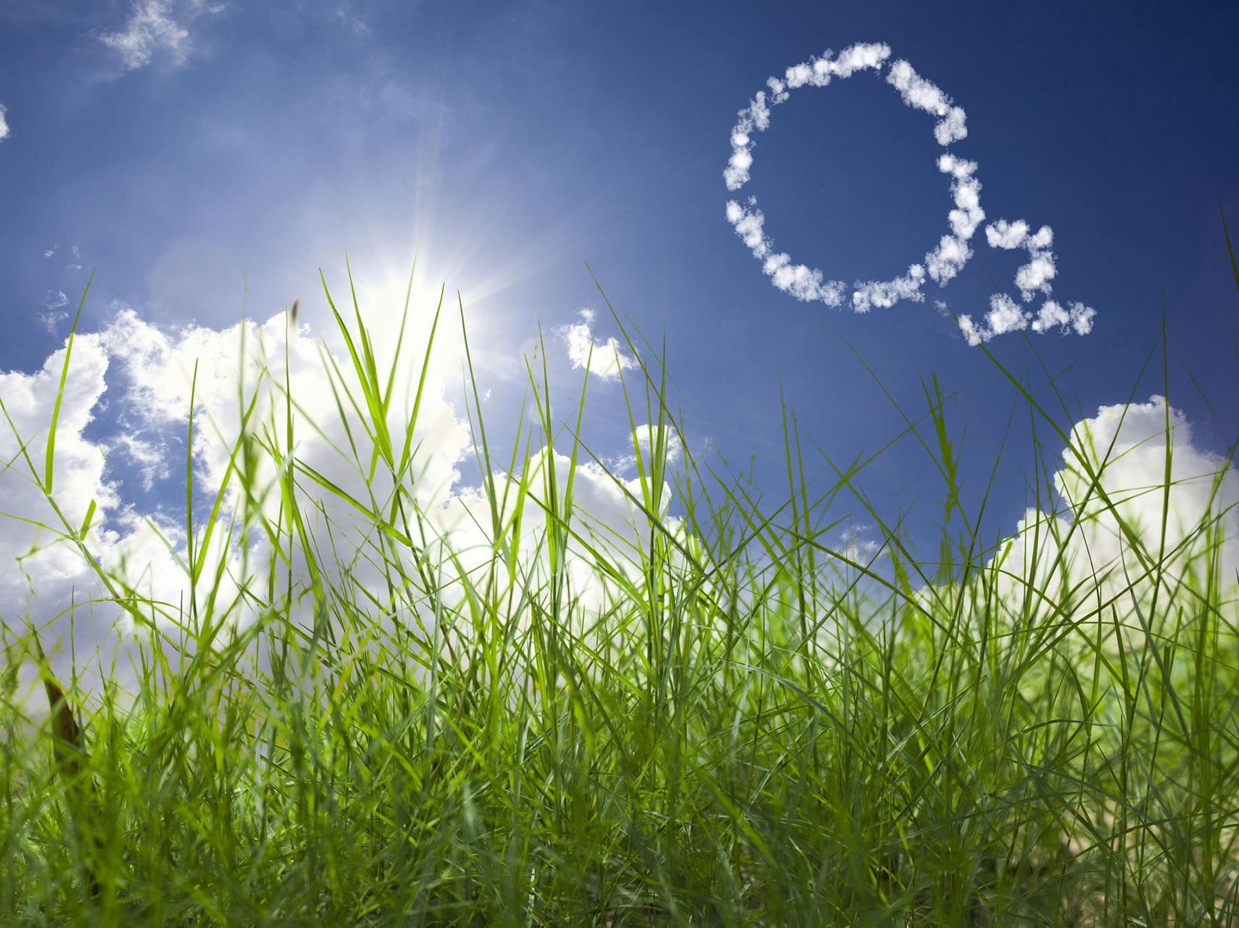 The Oxygen We All Breathe