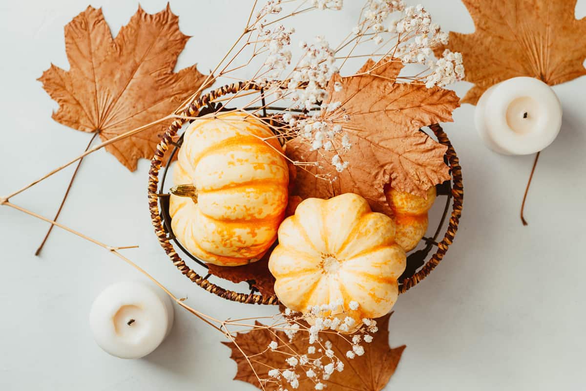 Thankful for a Chair and a Table