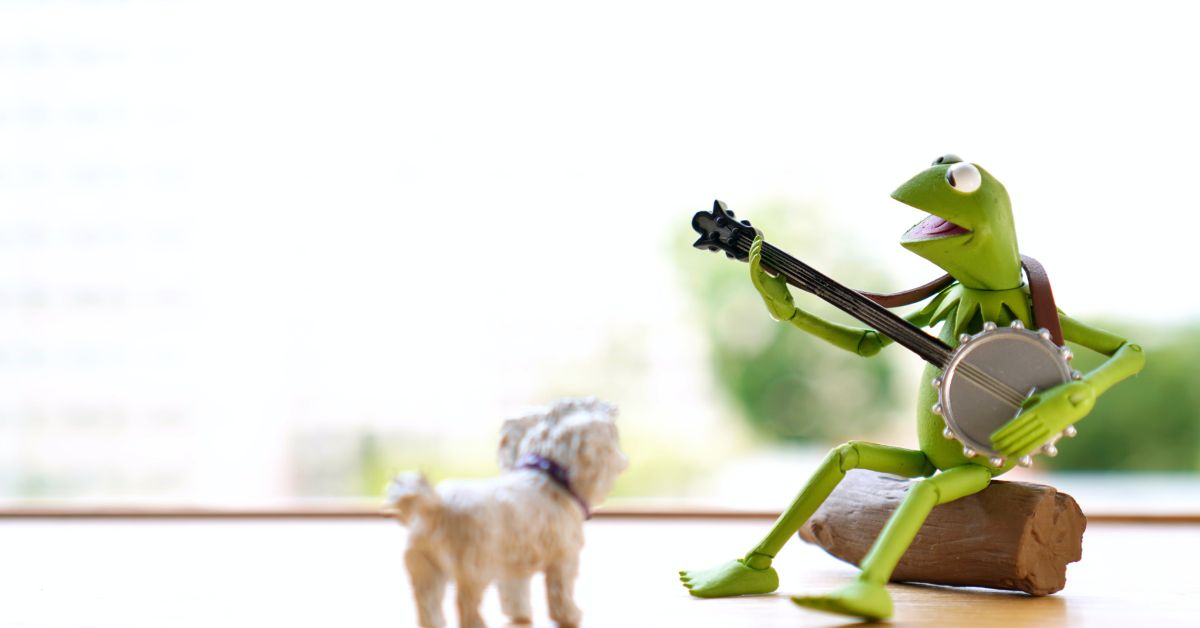 The 5 Attributes of a Great Nonprofit Executive Director