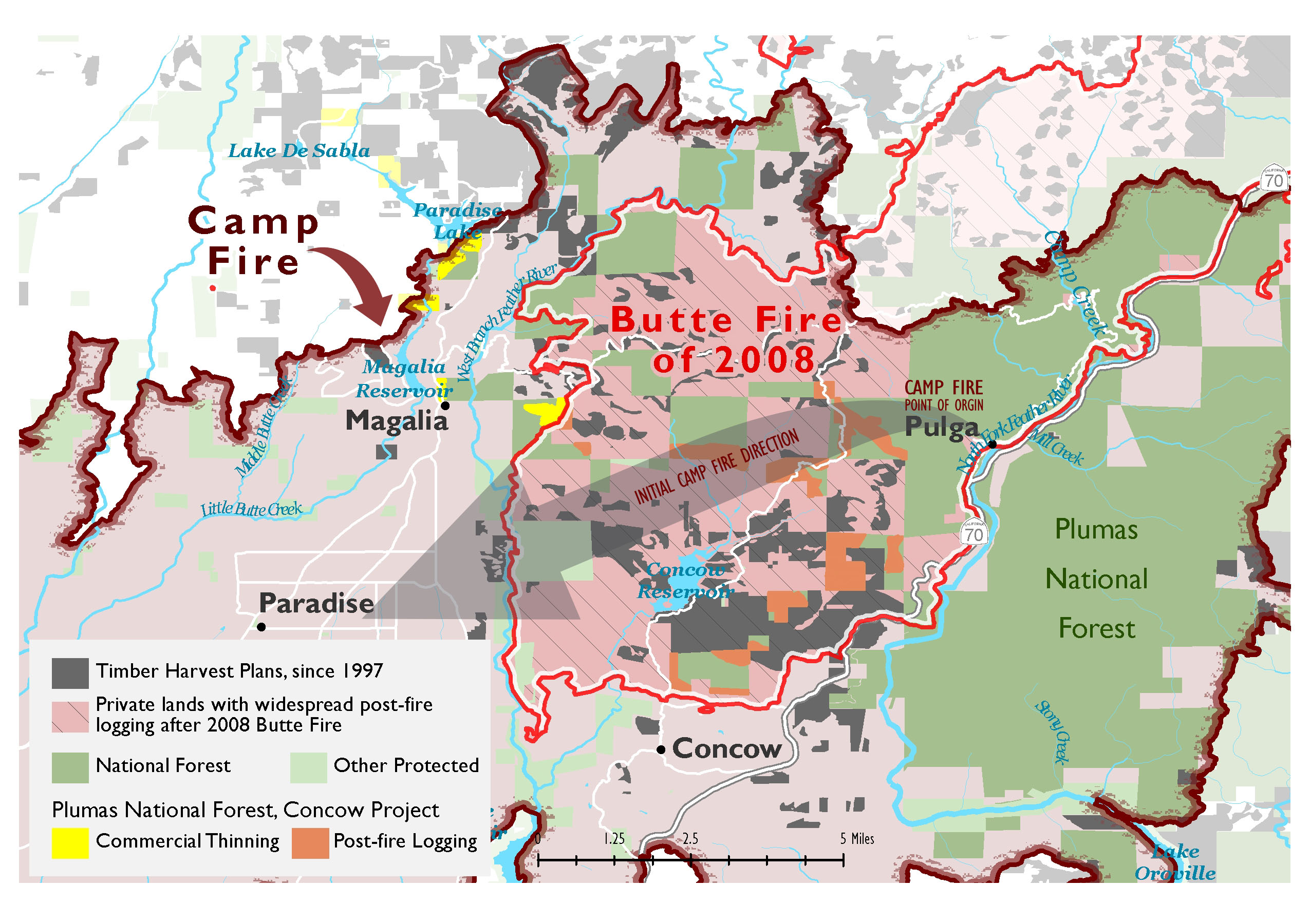 Logging Didn't Stop the Camp Fire - John Muir Project