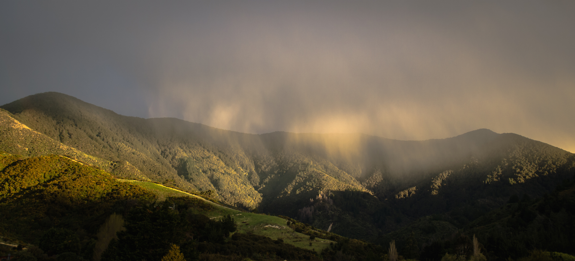 Tips for Wet Weather Camping (Or, Please Let it Rain!) | Hipcamp Journal