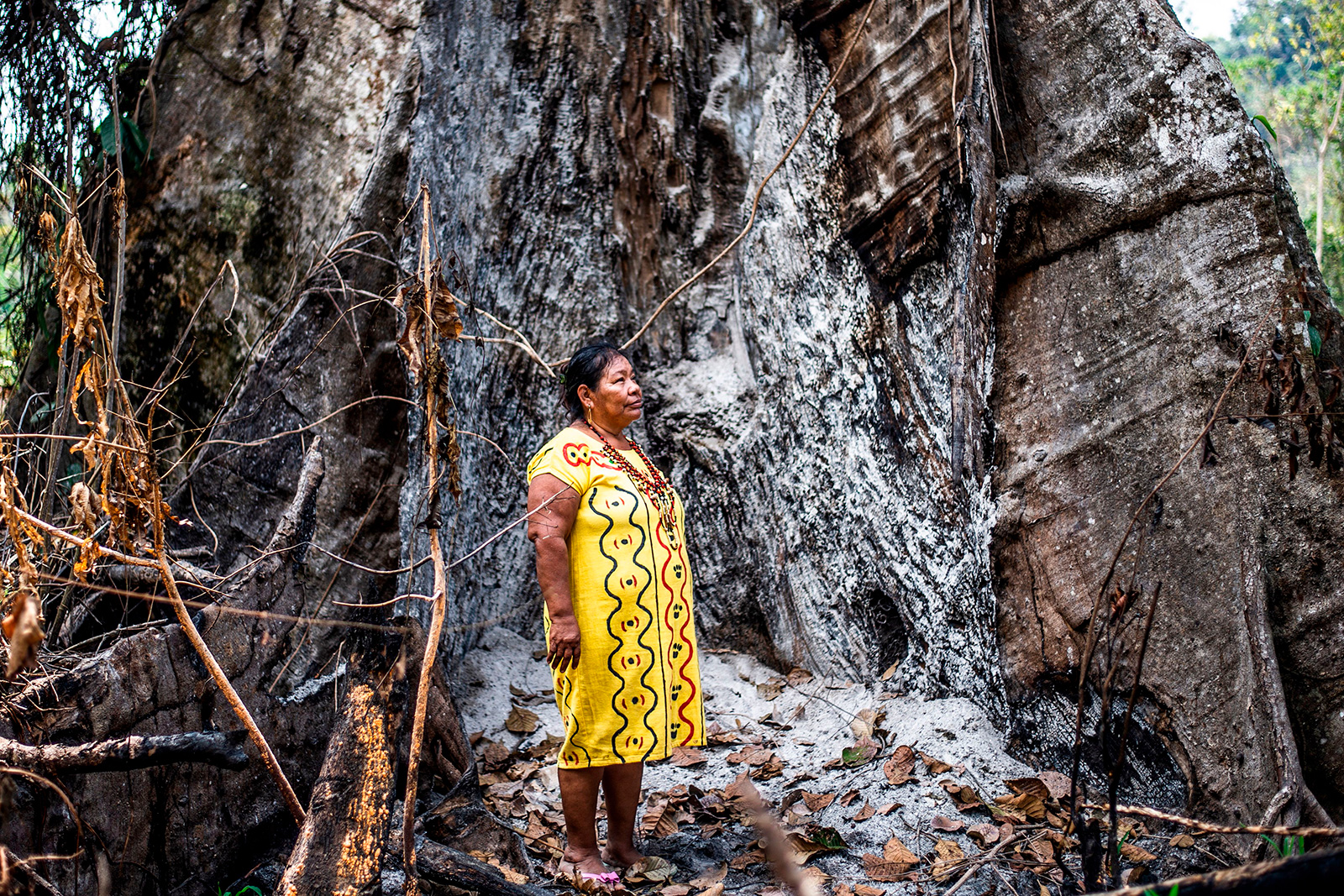 Deforestation Hits Home: Indigenous Communities Fight for the Future of Their Amazon | CSIS Journalism Bootcamp