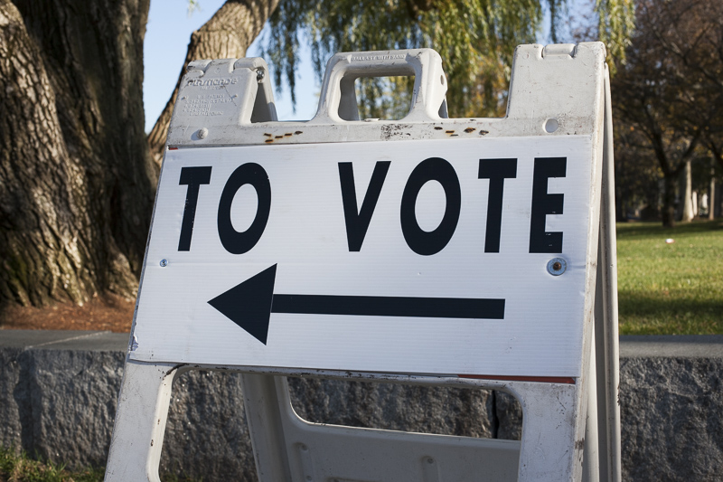 How using search engines impacts voter decisions