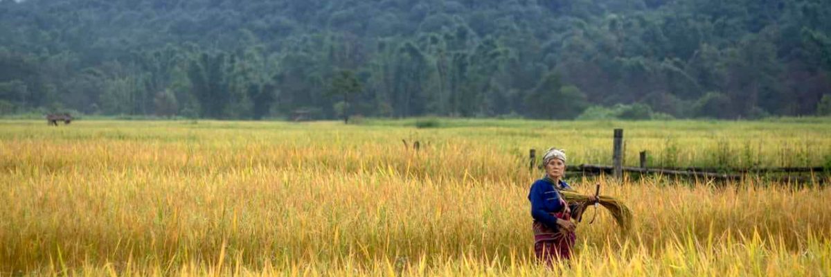 Karen Women's Organisation (KWO) Background of the Karen People - Karen Women's Organisation (KWO)