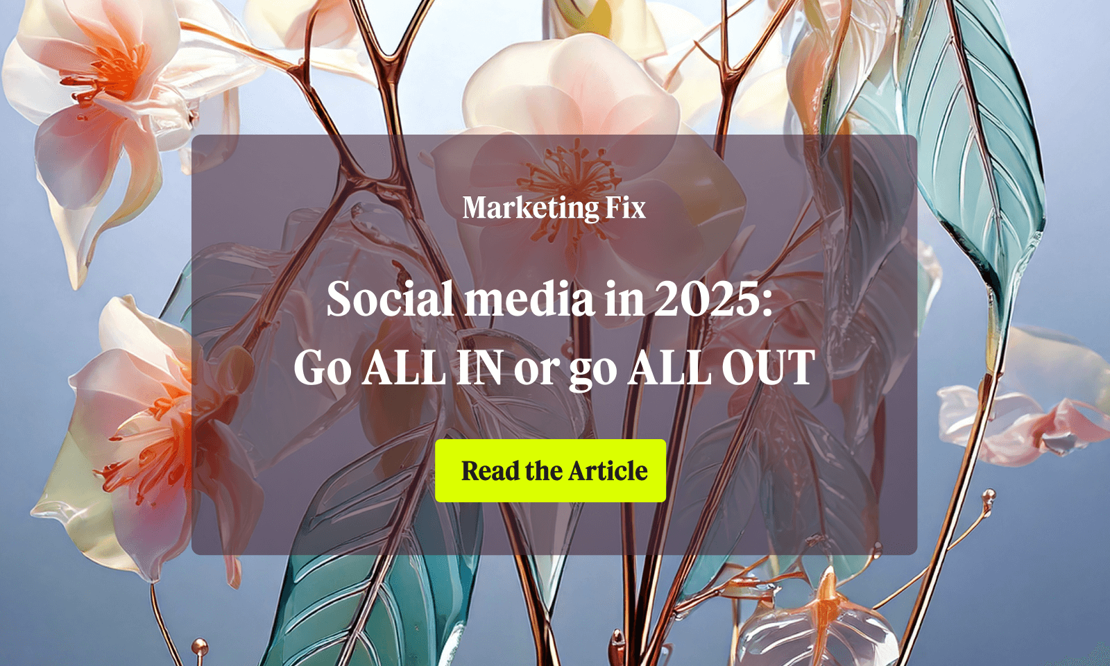 Social media in 2025: Go ALL IN or go ALL OUT - Marketing Fix blog