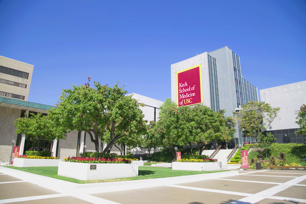 Eight Keck School of Medicine departments rank in top 10 for NIH funding