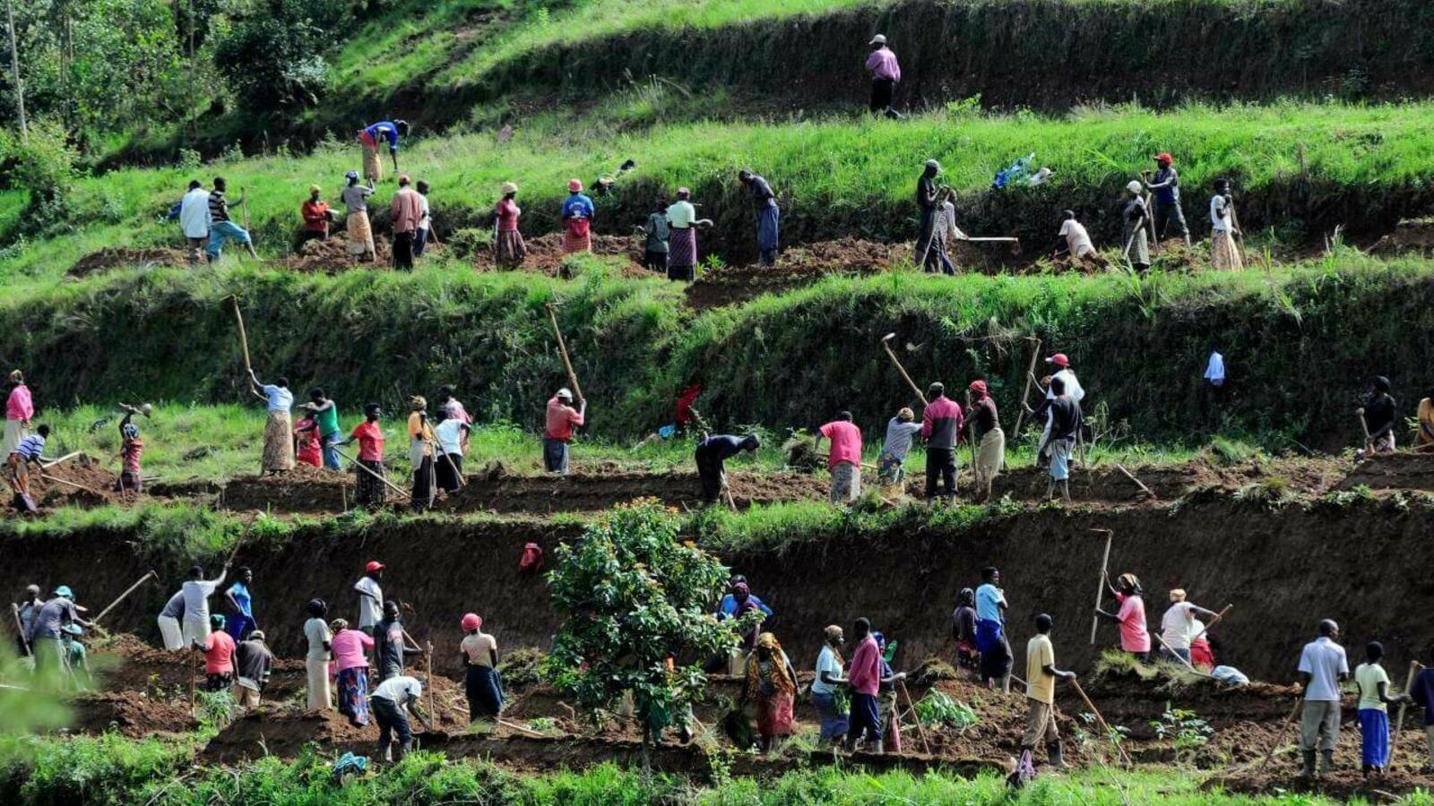 AIM for Scale, led by Paul Winters, awarded $2.6 million to scale agricultural innovations in Africa and beyond | News | News & Events | Keough School of Global Affairs | University of Notre Dame