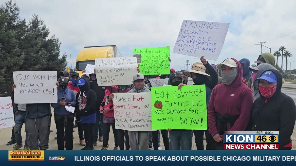 Salinas and Watsonville Agriculture Worker Strike Continues | News Channel 3-12