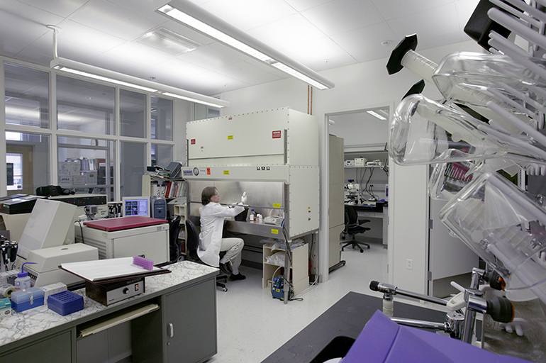 FDA’s Drug Approval Team Copes With 700 Unfilled Jobs As Industry Lures Staff - KFF Health News