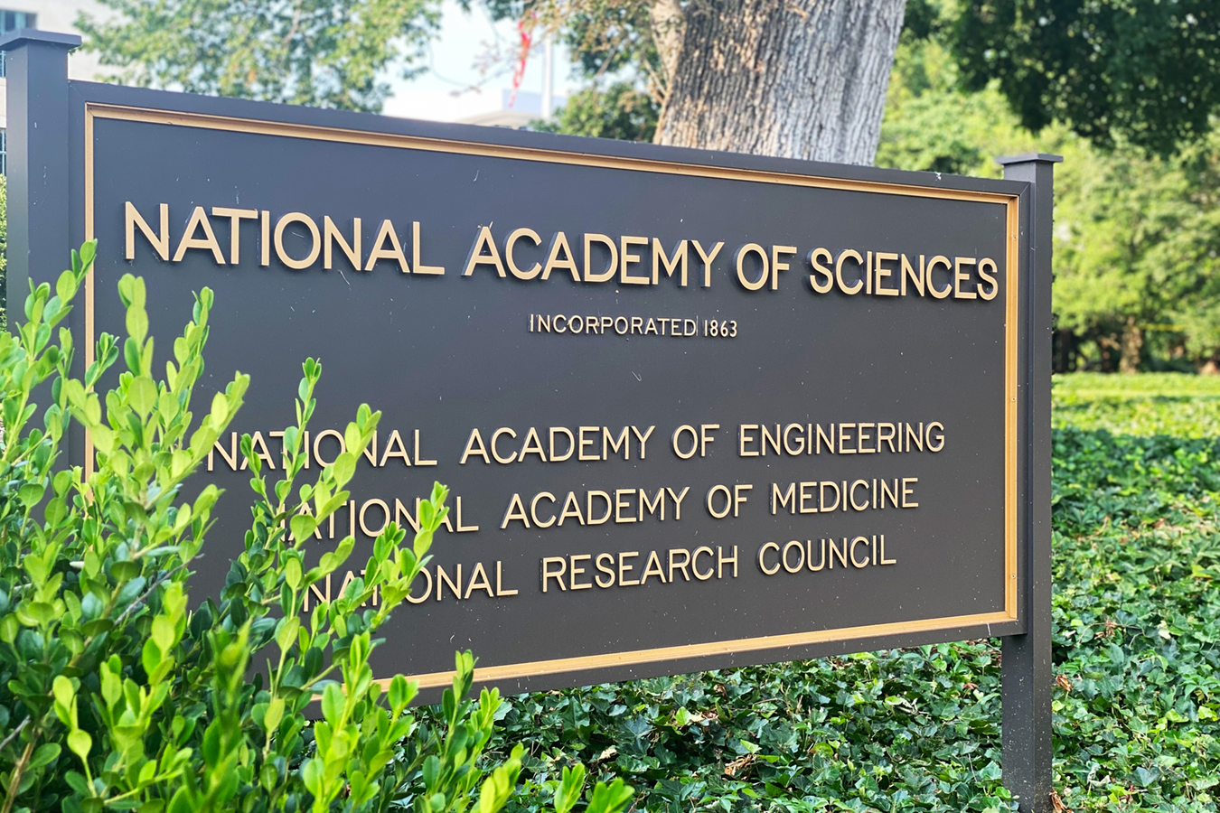 Congress Cites KHN Investigation in Probe of National Academies - KFF Health News