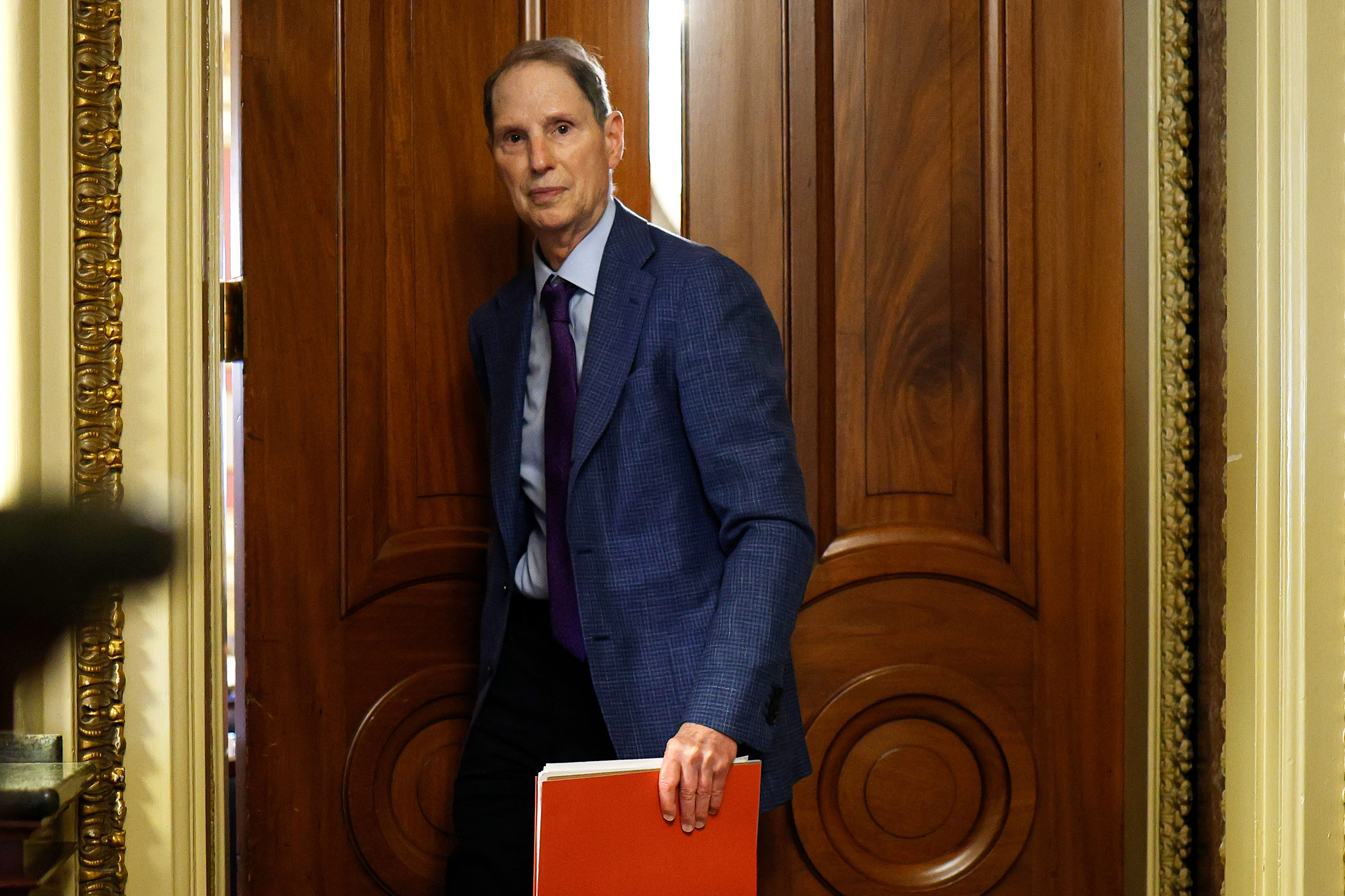 Senators Press Deloitte, Other Contractors on Errors in Medicaid Eligibility Systems - KFF Health News