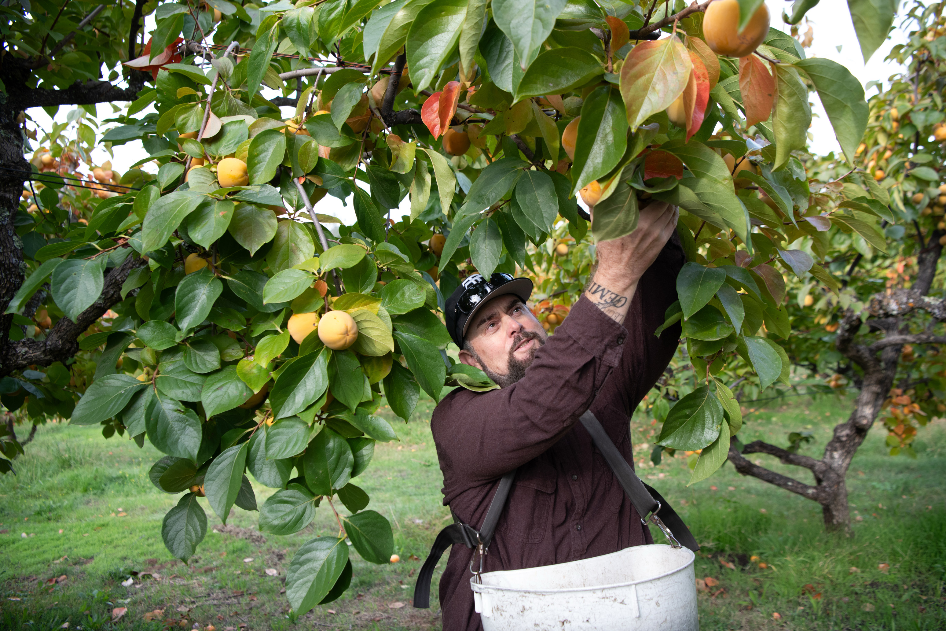 Farmers, Barbers, and GOP Lawmakers Grapple With the Fate of ACA Tax Credits - KFF Health News