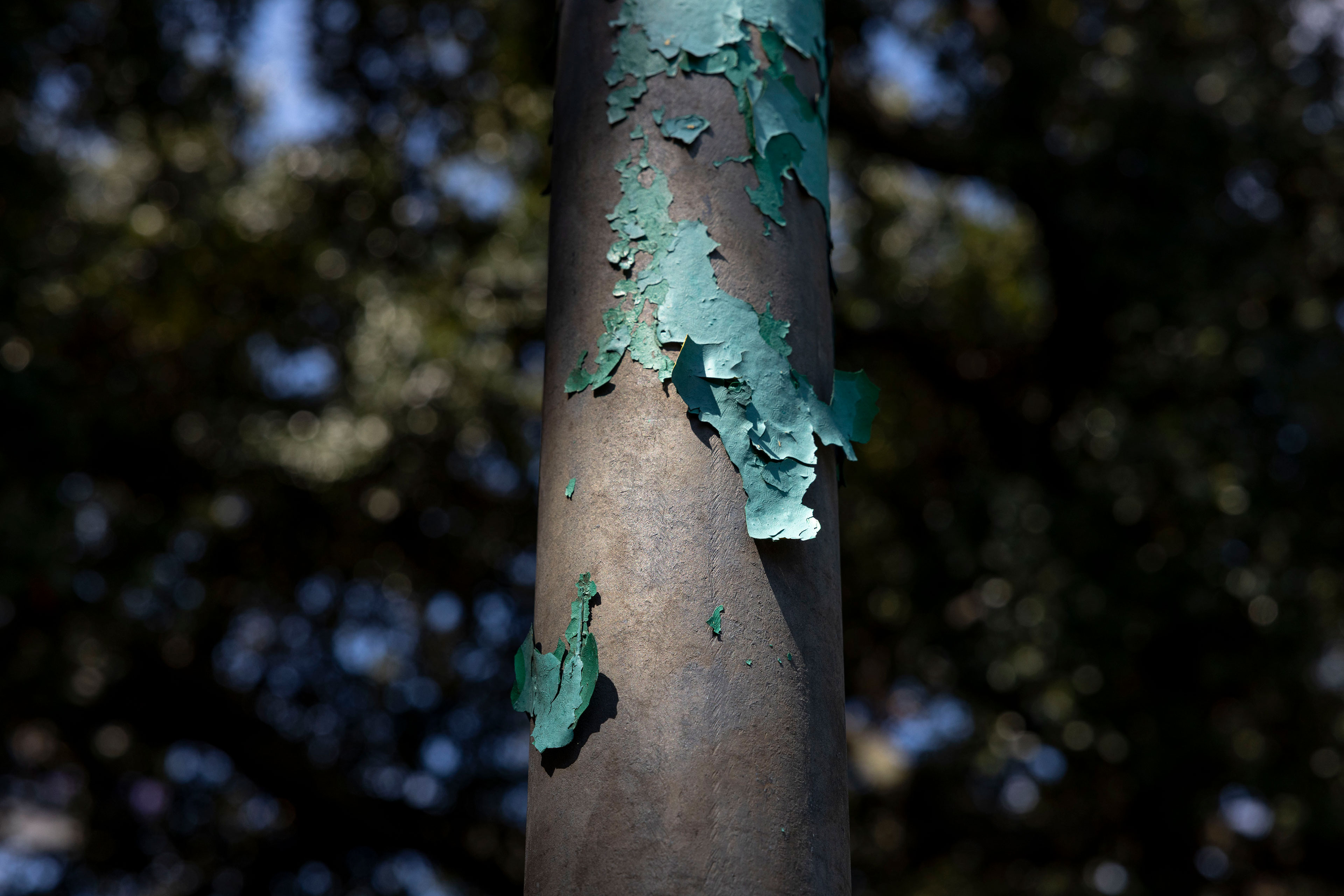 Federal Aid for Lead Cleanup Is Receding. That’s a Problem for Cash-Strapped Cities. - KFF Health News
