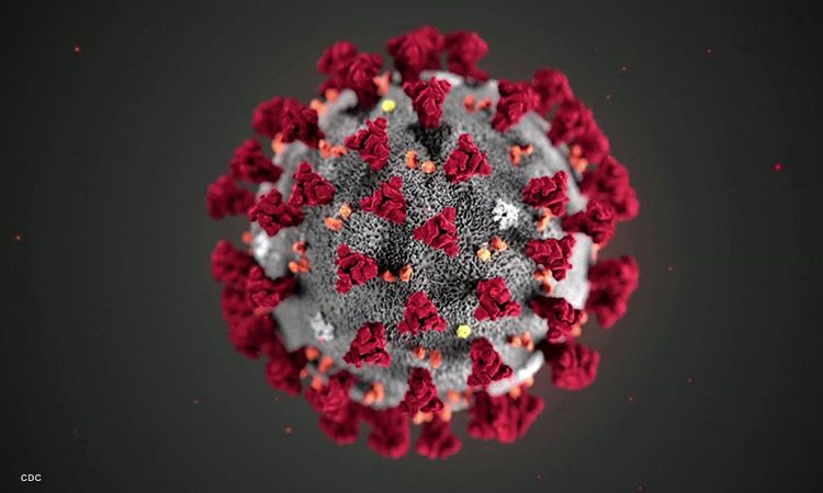 Moreno: Case of new variant also first local recorded case of reinfection – KION TV