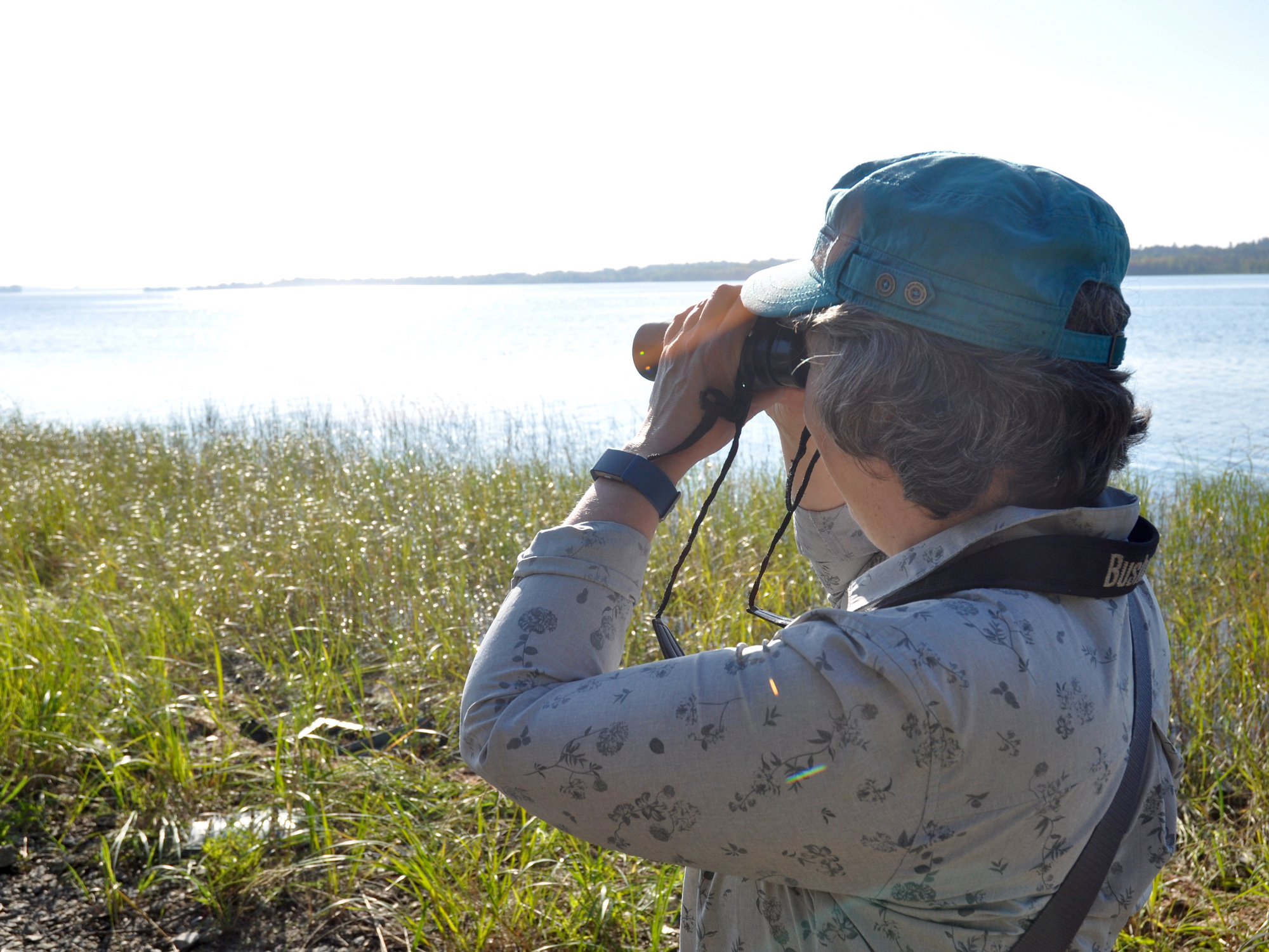 Important conversations about bird conservation
