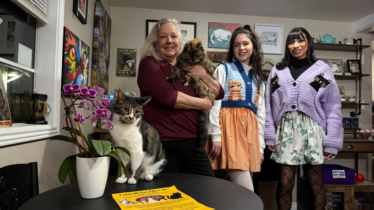 Cat-themed fashion show benefitting local cat cafe and partnerning shelter | KRDO