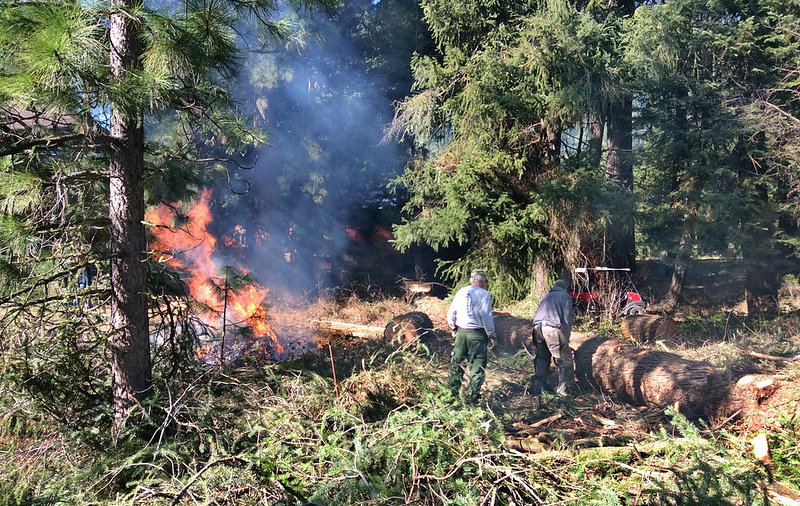 Oregon bill would require home insurers to consider owners' wildfire prevention efforts - KTVZ