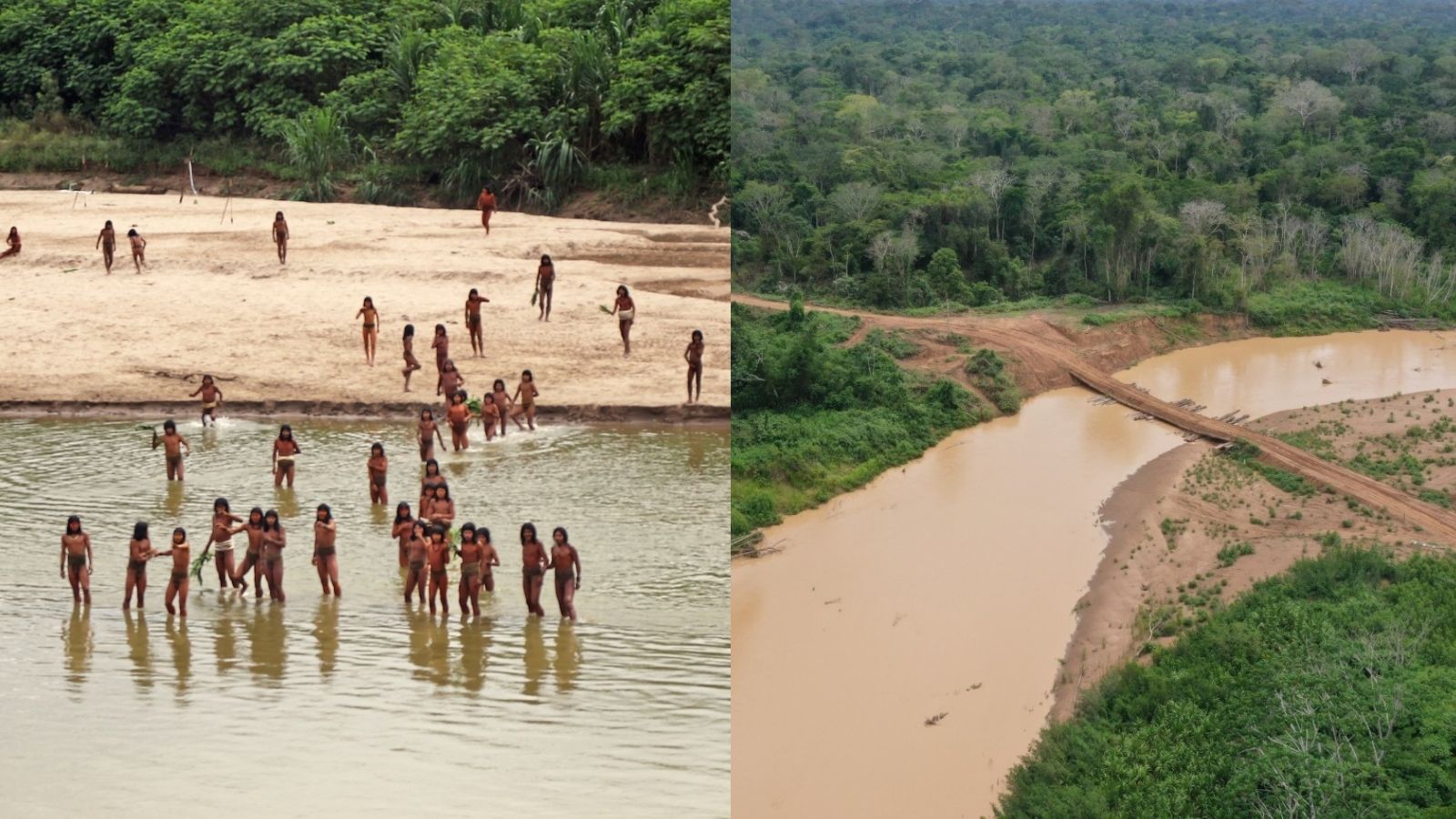 Uncontacted tribes are primary conservationists, they must be protected | Latin America Bureau