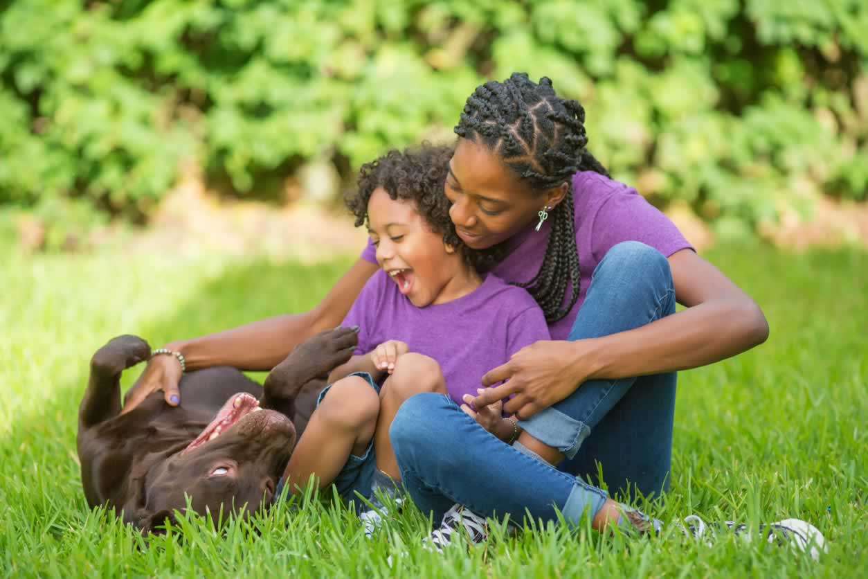 Do Animals Go to Heaven? Here’s What the Bible Says - PETA LAMBS