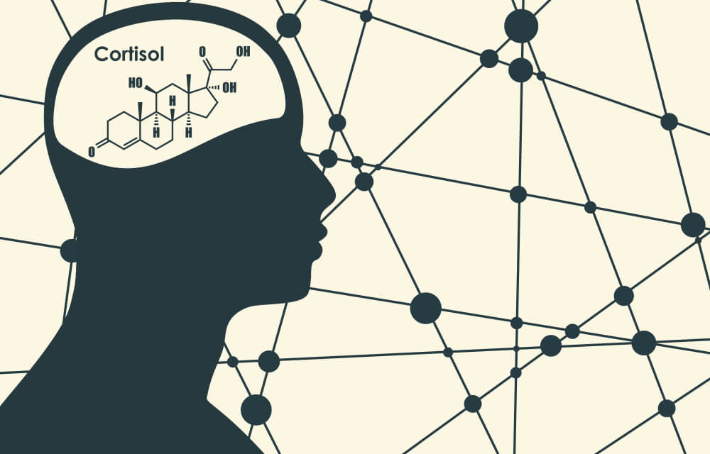 Cortisol, la hormona del estrés - La Mente es Maravillosa
