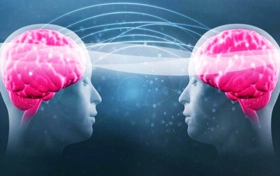El triptófano y la serotonina: descubre cómo aumentar tu bienestar - La Mente es Maravillosa