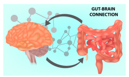 Microbiota intestinal: clave de la salud mental - La Mente es Maravillosa