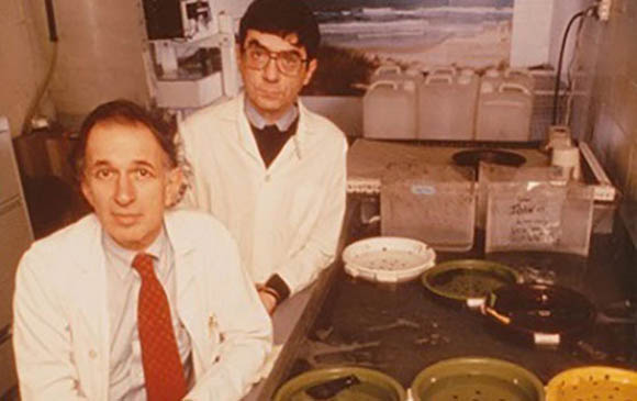 Eric Kandel: Learning about the Human Brain from Sea Slugs - Lasker Foundation