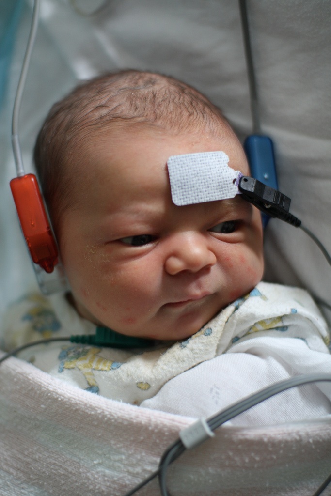 The baby brain revolution arrives - not a moment too soon - The Last Word On Nothing