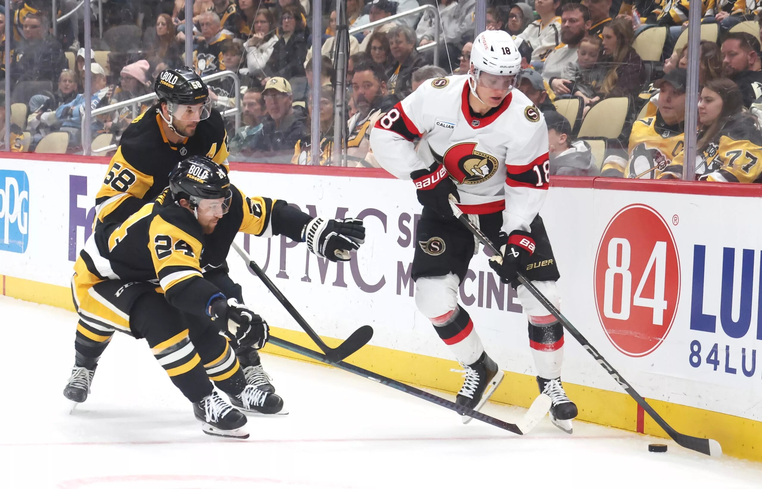 Stutzle is Ready to Put those Pesky Sens on his Back