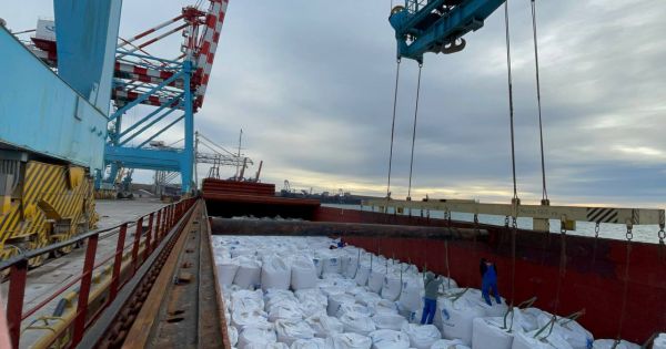Імпорт добрив в Україну у 2025 році зріс на 13%, найбільше — азотних — Latifundist.com