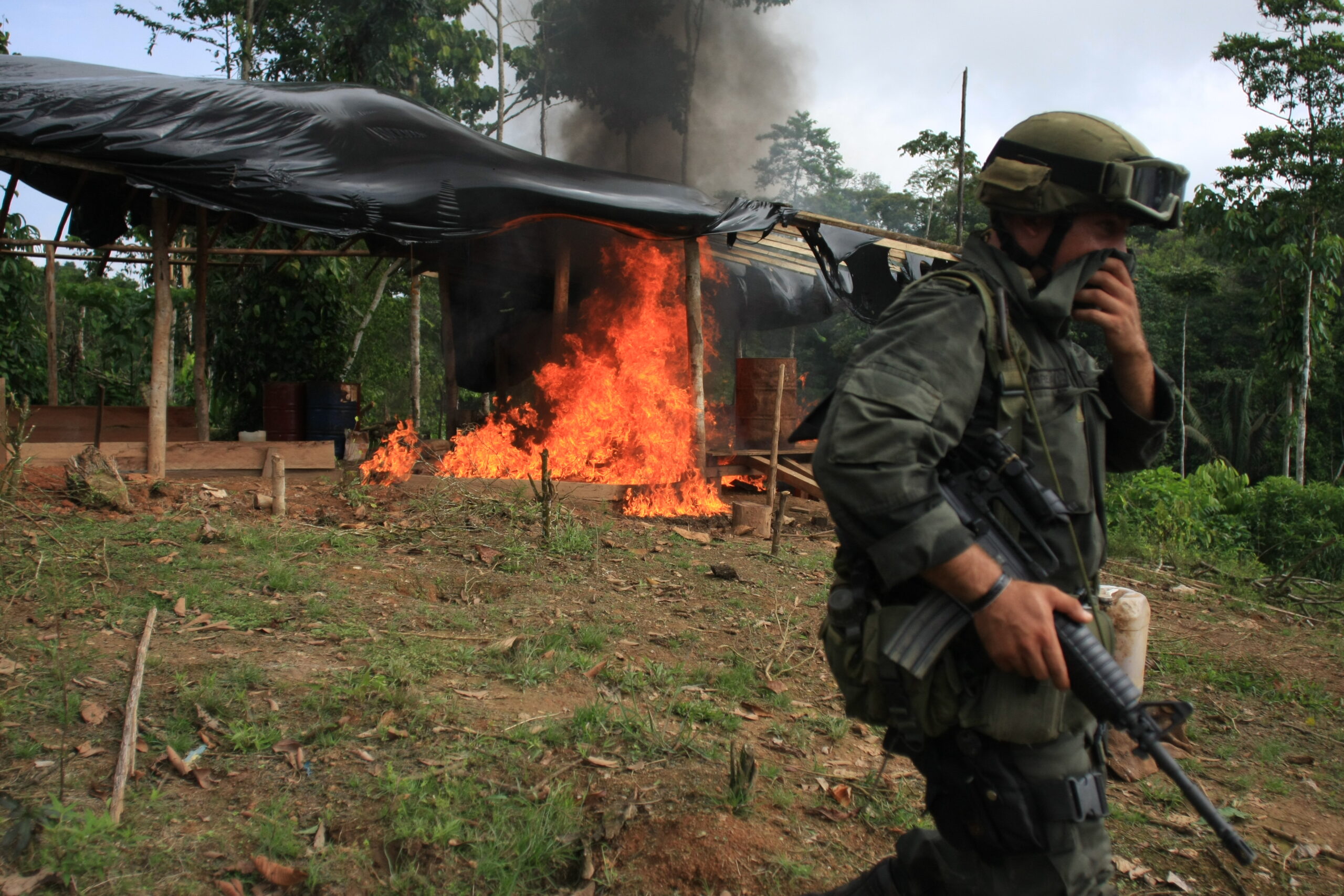 Colombia decertification fears mount as cocaine reaches new highs - Latin America Reports