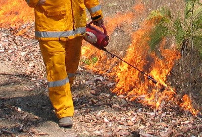 Fire Fundamentals: Fire behaviour