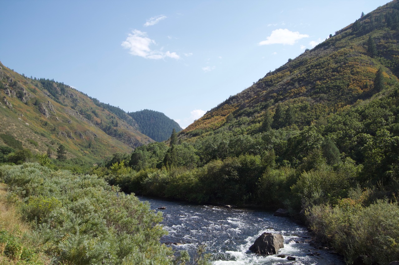 Losing Justice Hobbs, Western Water Expert and Valued Mentor - Legal Planet