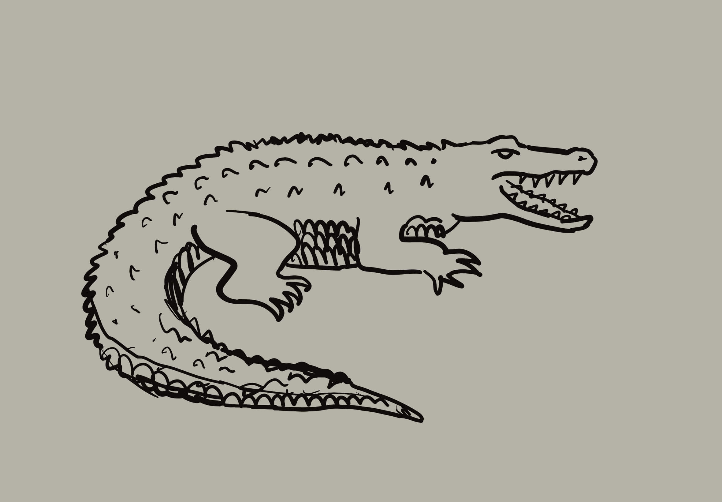 Le Crocodile | Le Grand Continent