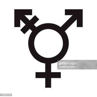 VIDEOS TRANS NOVOS GRATIS -