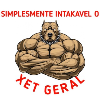 Xet Geral | Conversa -