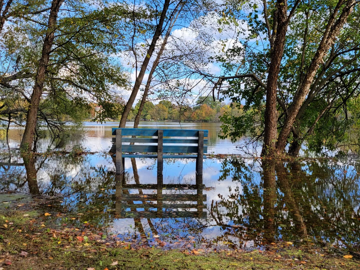 Climate case study: Flooding in FDR Park – Sara Davis