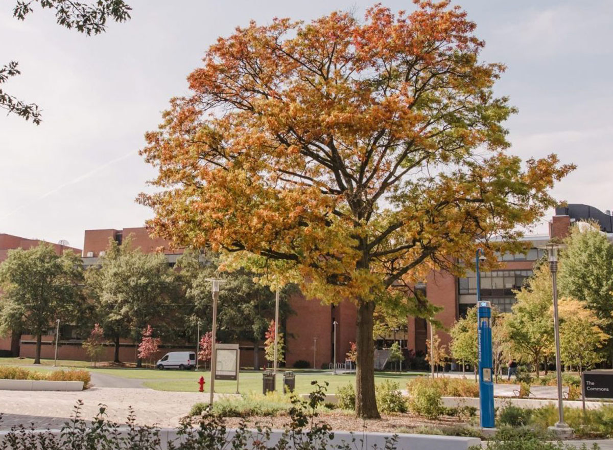 The Fall '21 Semester is off to a record-breaking start | UMBC Campus News