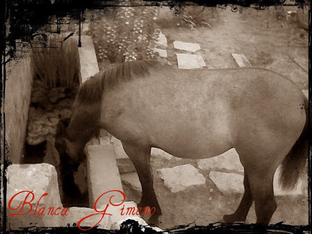 Blanca;) | Flickr