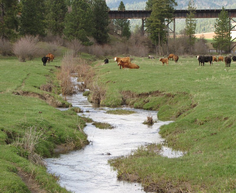 Watershed evaluations | Flickr