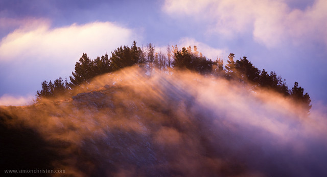 Https://www.flickr.com/photos/seemoo/ User cover
