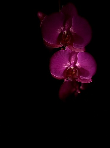 Deborah Martinez Garcia | Flickr