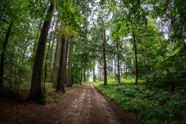 Https://www.flickr.com/photos/kewl/ User cover