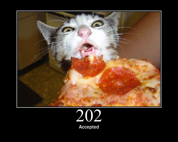 HTTP Status Cats - The original | Flickr